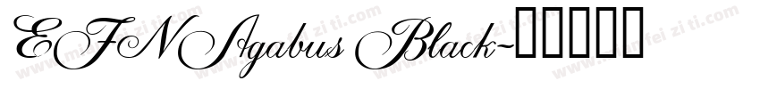 EFN Agabus Black字体转换
